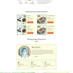 Theme WordPress lading pape bánh giảm cân