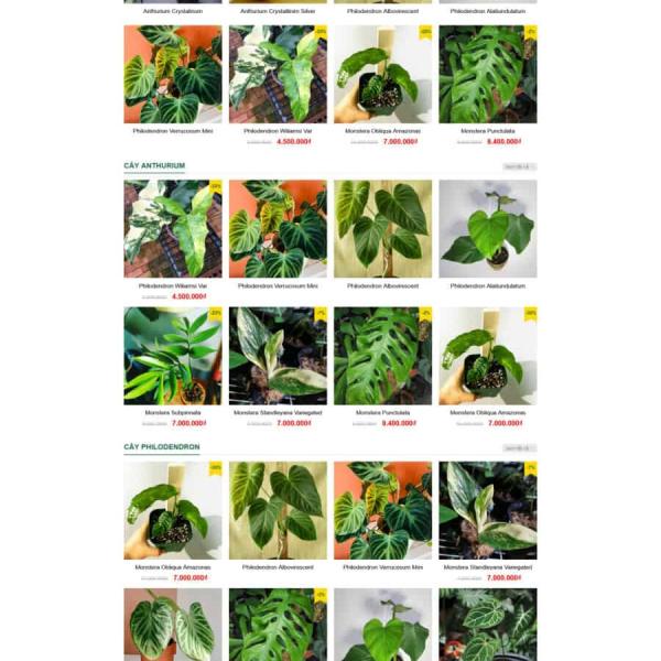 Theme WordPress bán cây xanh nhiệt đới, cây xanh 2