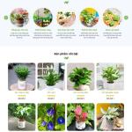 Theme WordPress cây xanh 3