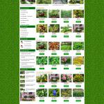 Theme WordPress bán cây xanh
