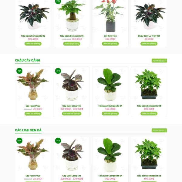 Theme WordPress chậu cây mini