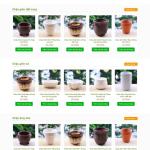 Theme WordPress bán chậu cây