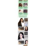 Theme WordPress ladingpape quảng cáo dầu gội