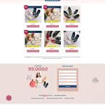 Theme WordPress lading pape bán dép