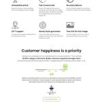 Theme WordPress giới thiệu 9