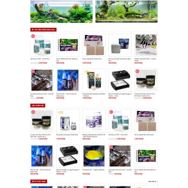 Theme WordPress bán cá cảnh, hồ cá, thủy sinh