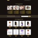 Theme WordPress spa 06
