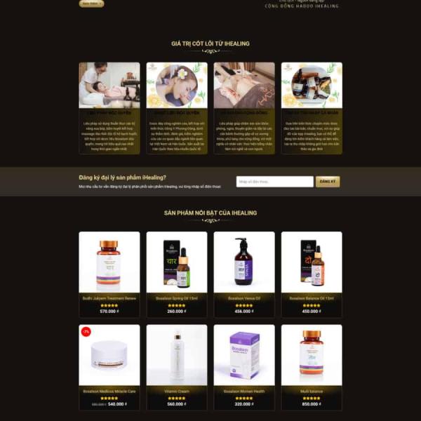 Theme WordPress spa 06