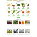 Theme WordPress nông sản 3
