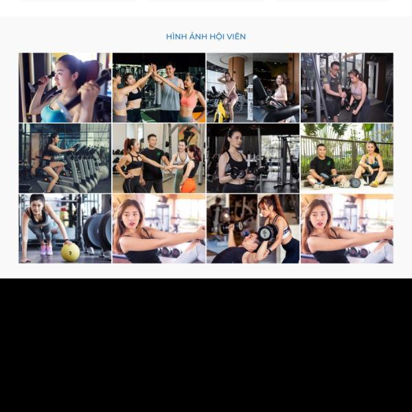 Theme WordPress phòng tập gym