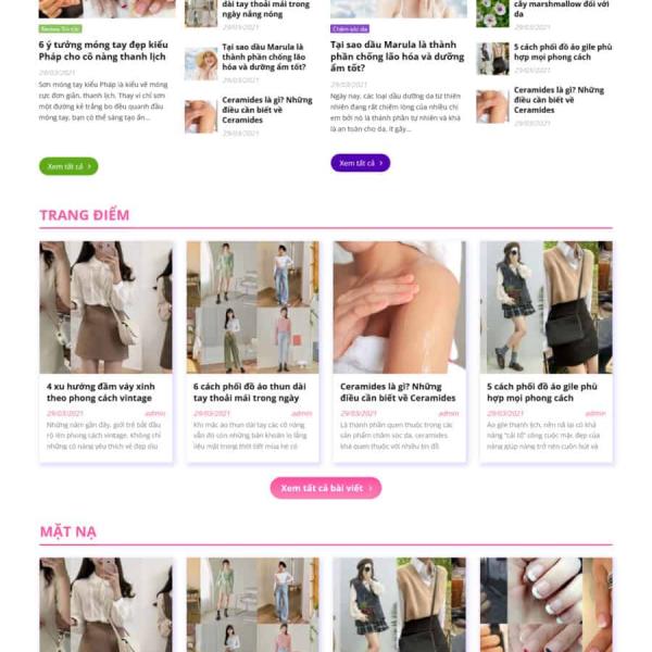 Theme WordPress review 1