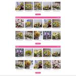 Theme WordPress shop hoa tươi 02
