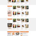 Theme WordPress shop phong thủy