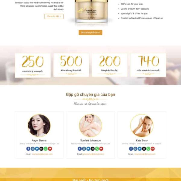 Theme WordPress spa 11