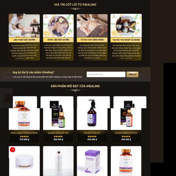Theme WordPress spa 12