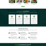 Theme WordPress bán tâm thất bắc