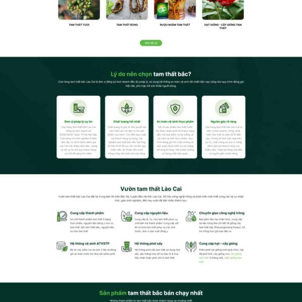 Theme WordPress bán tâm thất bắc