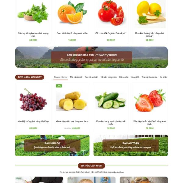 Theme WordPress tạp hóa