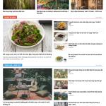 Theme WordPress tin tức 11 – review du lịch