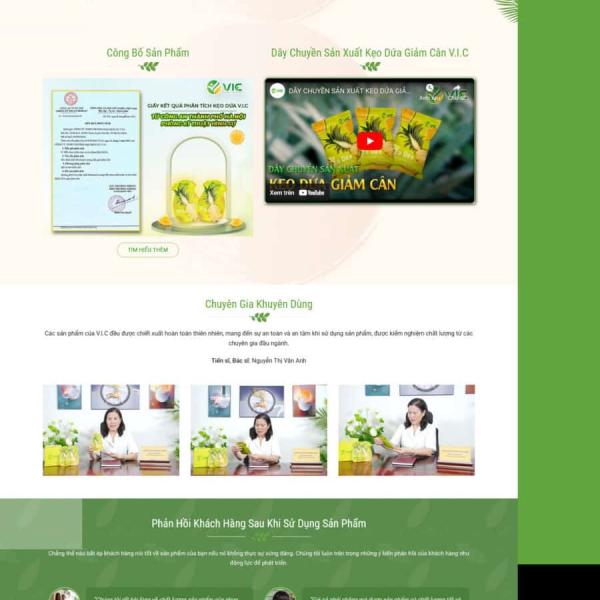 Theme WordPress bán hàng thực phẩm kẹo dứa