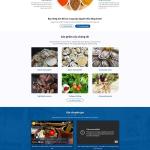 Theme WordPress thực phẩm chức năng 7