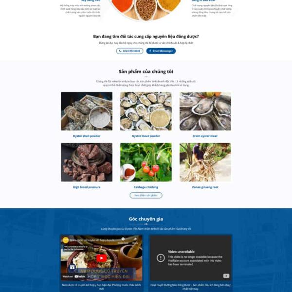 Theme WordPress thực phẩm chức năng 7