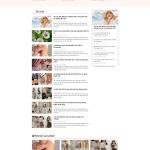 Theme WordPress tin tức 11