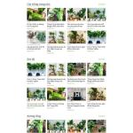 Theme WordPress blog về cây xanh