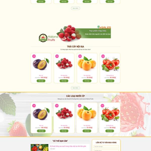 Theme WordPress bán trái cây 1