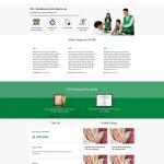 Theme WordPress vay tiền 1