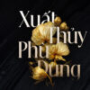 Font chữ thanh lịch, hiện đại, sang trọng dùng cho thiết kế thiệp cưới, thời trang, tạp chí, nước hoa DFVN Beautique Display