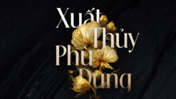 Font chữ thanh lịch, hiện đại, sang trọng dùng cho thiết kế thiệp cưới, thời trang, tạp chí, nước hoa DFVN Beautique Display