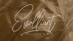 Font chữ viết tay, chữ ký mềm mại cho thiệp cưới, lễ cưới TH Fillmade Signature