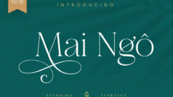 Font chữ việt hóa TH Maginia