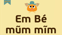 Full bộ font PF Beau Sans Pro - 16 style Việt hóa miễn phí